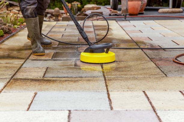 Best Roof Washing  in Kendallville, IN